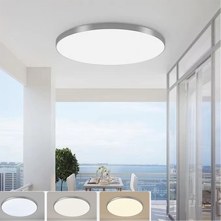30W LED Deckenleuchte Flach Flur Deckenlampe Ultraslim Ø27x2cm 2700K Warmweiß 4000K Kaltweiß 6000K Innen Silber Moderne Rund Deckenleuchten Schlafzimmerlampe Küchenlampe Led Lampen Badezimmer (30W)