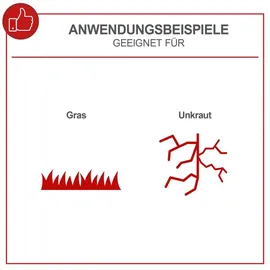 SCHEPPACH EGT350 inkl. 3 x Ersatzfadenspule