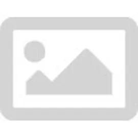 Festool Absaugmobil CLEANTEC CTL MIDI I 578309