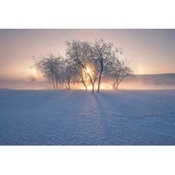 Fototapete PAPERMOON "Photo-Art BINGO Z, SCHNEELANDSCHAFT IM WINTER", bunt, B:5,00m L:2,80m, Vlies, Tapeten