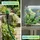 casativo-garden Universal Wasserhahn Adapter 0,6 m flexibel