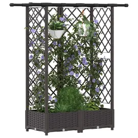 vidaXL Hochbeet mit Rankgitter und Dach 124 x 40 x 123 cm Braun
