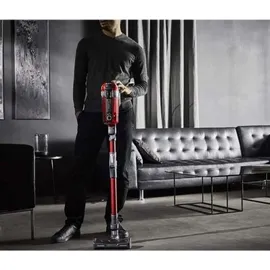 Rowenta X-Force Flex 11.60 RH9829
