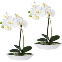Creativ green Kunstorchidee CREATIV GREEN "Phalaenopsis", weiß, B:6,5cm H:30cm L:19,5cm, Kunststoff, Kunstpflanzen, 2er Set, in Kunststoffschale