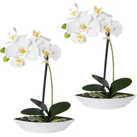 Creativ green Kunstorchidee CREATIV GREEN "Phalaenopsis", weiß, B:6,5cm H:30cm L:19,5cm, Kunststoff, Kunstpflanzen, 2er Set, in Kunststoffschale
