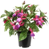 Flair Flower Künstliche Zierpflanze Fuchsien im Topf Zimmerpflanze Blüten Blumen Kunstblumen Seidenblumen Unechte Deko Doppelblütenblätter Topfpflanze Hybrida Hort Flores