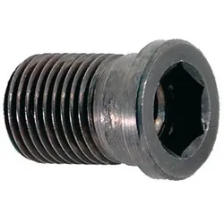 Spannschraube