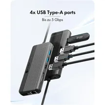 Icy Box IB-DK4062-CPD Multi Dockingstation - Grau