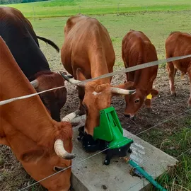 Kerbl 221135 P100 Duo Weidepumpe mit 1" Anschluss