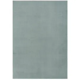 The CarPET Kuschelig & Super Soft Teppich 80 x 150 cm Blau