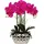 luxuskollektion Künstliche Orchidee Phalaenopsis 44cm Keramiktopf Violett