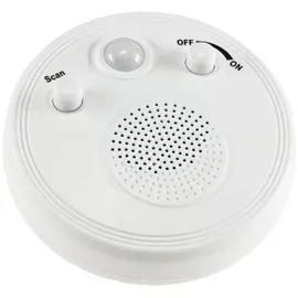ChiliTec Deckenradio 21889