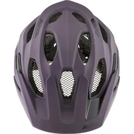 Alpina Carapax 2.0 52-57 cm orchid matt 2022