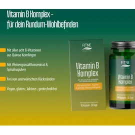 Fitne Vitamin B Komplex Kapseln 90 St.