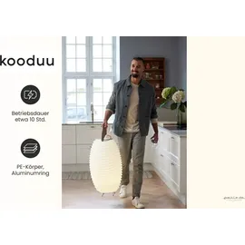 Kooduu Synergy Aluminium