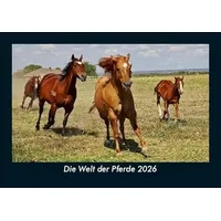 Vero Kalender Die Welt der Pferde 2026 Fotokalender DIN