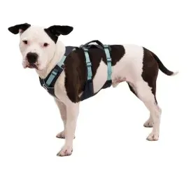 Ruffwear Flagline Hundegeschirr basalt gray XS