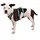 Ruffwear Flagline Hundegeschirr basalt gray XS