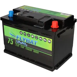 FLYBAT LiFePO4 75Ah 0,96 kWh