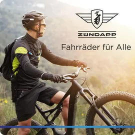 Zündapp Z502 28 Zoll RH 50 cm Damen dusty blue