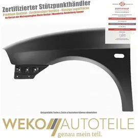 Diederichs Kotflügel vorne links für SEAT