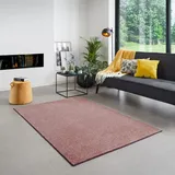 Carpet Studio Maine Teppich Rosa, Teppich Wohnzimmer 160x230 cm, Kurzflor Teppiche, Wohnzimmerteppich, Teppich Schlafzimmer