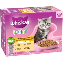 Whiskas Junior Geflügel Auswahl in Gelee 24 x 85 g