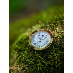 Vitavia Hygrometer mit Blister