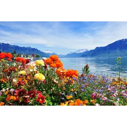 Fototapete PAPERMOON "Bergsee", bunt (mehrfarbig), B:3,5m L:2,6m, Vlies, Tapeten