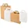 Papstar Papier-Tragetasche, 260 x 170 x 250 mm, weiß, Sie erhalten 1 Packung, Packungsinhalt: 50 Stück