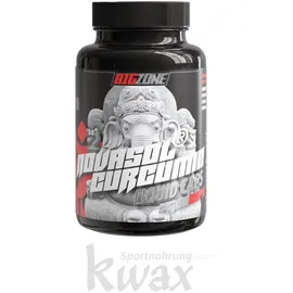 Big-Zone Big Zone NovaSol Curcumin Kapseln 90 St.