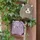 Lässig Tiny Backpack About Friends