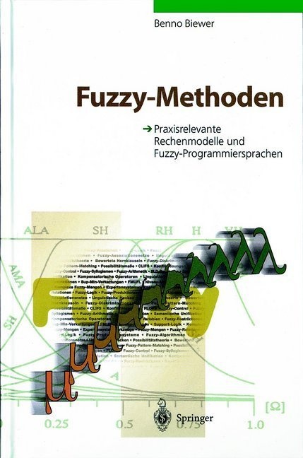 Fuzzy-Methoden - Benno Biewer  Kartoniert (TB)