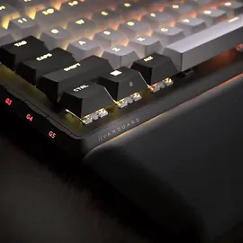Corsair Vanguard 96 MLX Plasma Switches DE