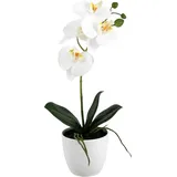 Künstliche Orchidee - Han | 36 cm