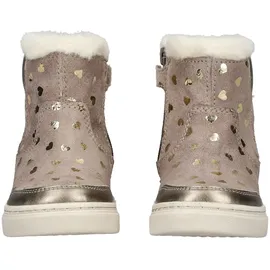 GEOX Stiefelette Stiefelette Leder/Textil - Braun