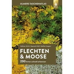 Flechten und Moose