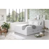 Cotta Boxspringbett COTTA "Shark inkl. Bettkasten und Topper", grau (argent), B:186cm L:212cm, 100% POLYESTER (PES), Komplettbetten, Boxspringbett, erhältlich in den Breiten 140x200cm, 160x200cm und 180x200cm