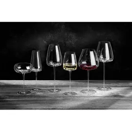 Zieher Vision Intense Rotweinglas 0,64 l 2er Set