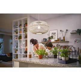 Philips LED-Lampe 8720169188051 100W E27 neutralweiß
