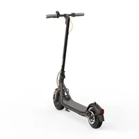 Segway-Ninebot F30D schwarz