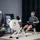 Sportplus Rudergerät für zuhause mit Luftwiderstand (8 Stufen), rower machine, Rudergerät Luft, leise & flüssig trainieren,