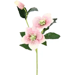 Kunstblume I.GE.A. "Christrose", rosa (rosa, vatertag, valentinstag, ostern, muttertag, geburtstag), B:12cm H:57cm L:5cm, Obermaterial: 90% Polyester, 10% Kunststoff, Kunstpflanzen, Künstlich Seidenblumen, 5er Set