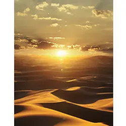 marburg Vliestapete »Dune DD«, Wüste, Sonnenaufgang, orange/braun