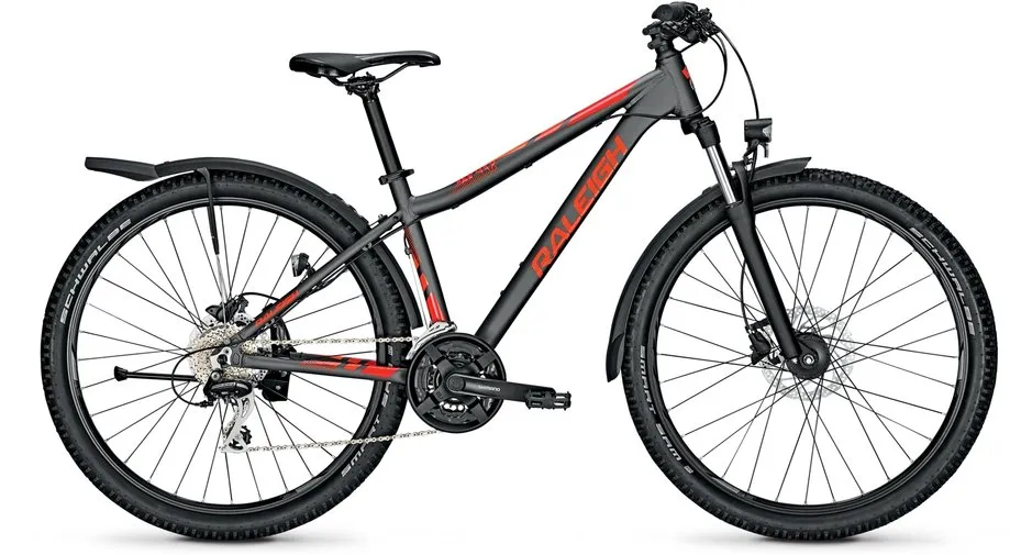 Raleigh Daymax Grau Modell Auslaufmodell