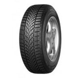 Kelly Winter HP 205/55 R16 91T