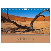 Calvendo Afrika Impressionen. NAMIBIA - SÜDAFRIKA - BOTSWANA (Wandkalender