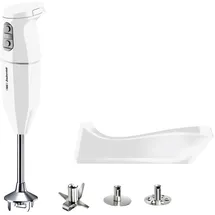 ESGE Zauberstab 95100 Cordless Stabmixer