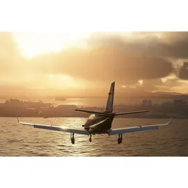 Flight Simulator - Premium Deluxe Edition (USK) (PC)
