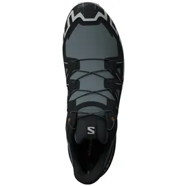 Salomon Speedcross 6 GTX Schuhe (Größe 44, blau)